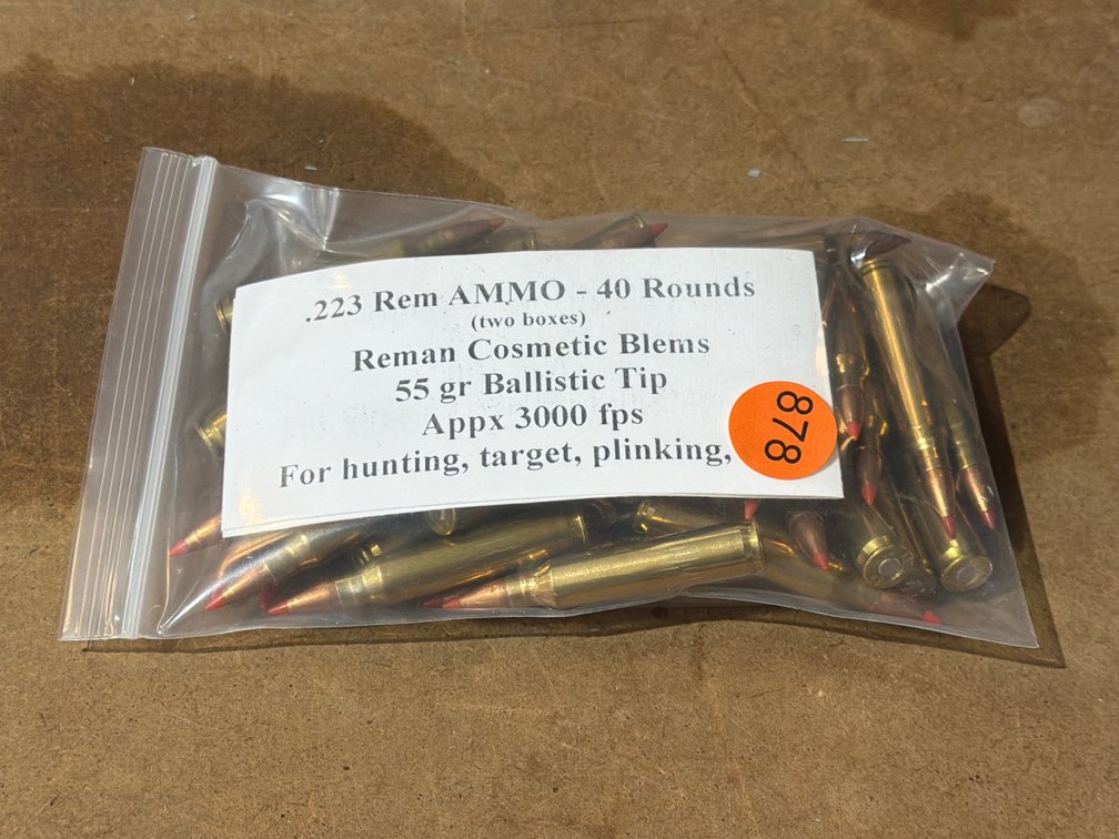 223 REM AMMO (40 ROUNDS)