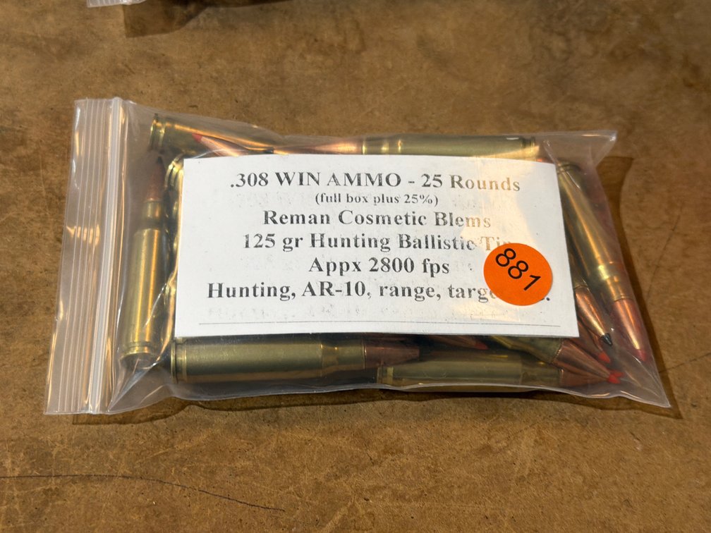 308 WIN AMMO (25 ROUNDS)