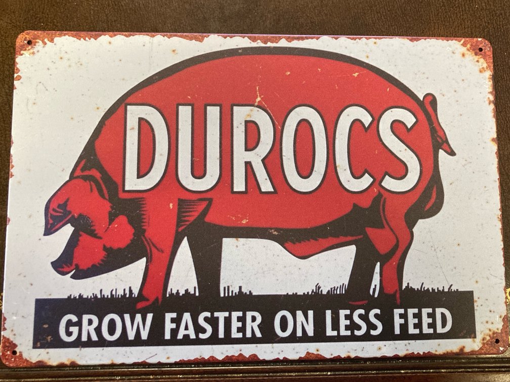 Metal Duroc Hog Sign