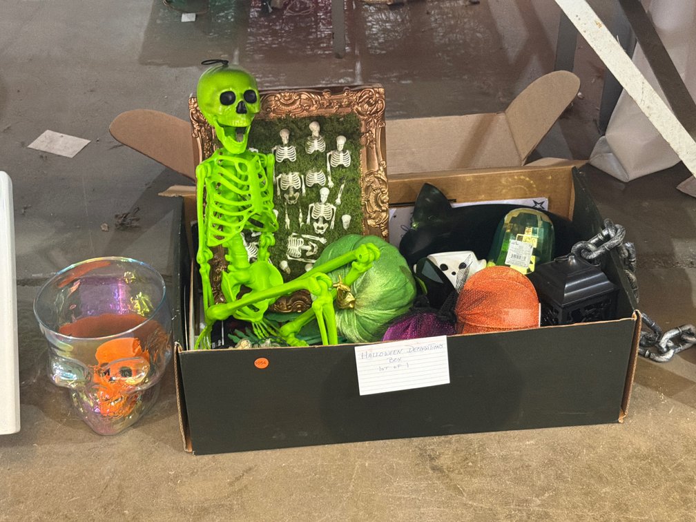 BOX OF HALLOWEEN DECOR