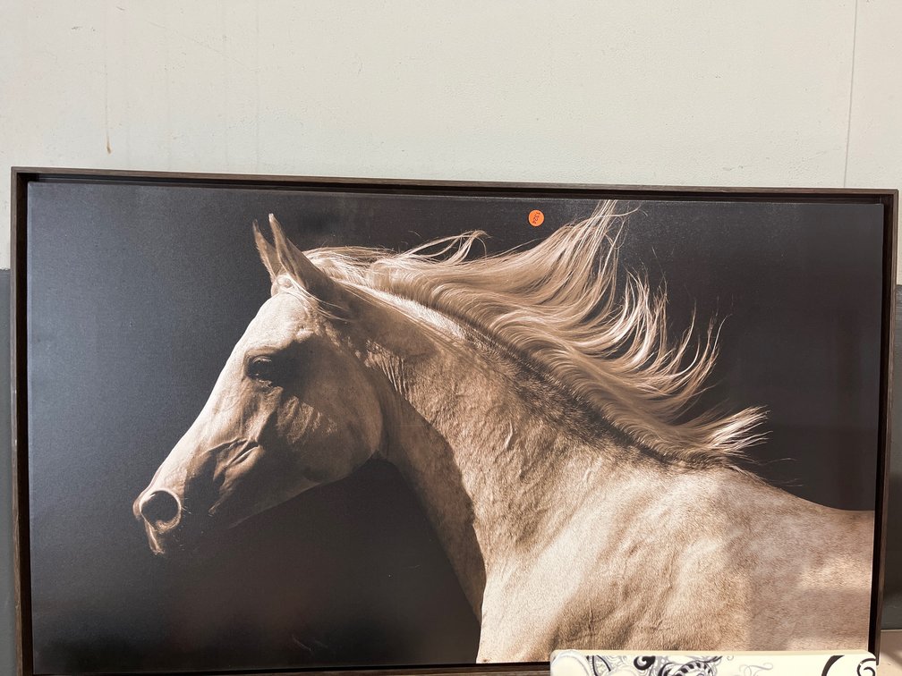 FRAMED HORSE PRINT