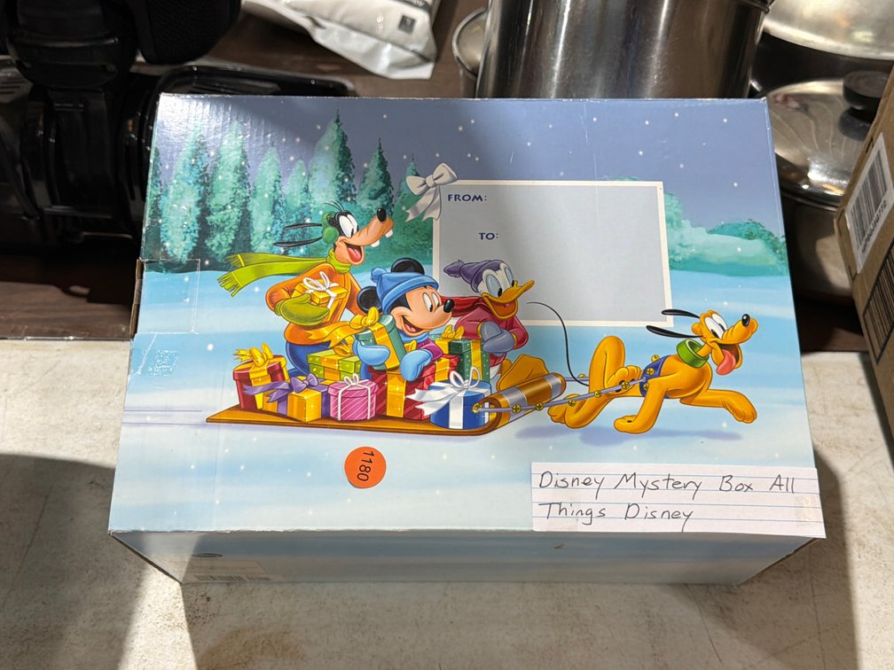 DISNEY MYSTERY BOX