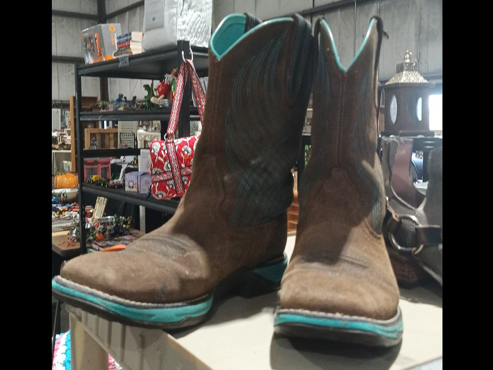 ARIAT BOOTS