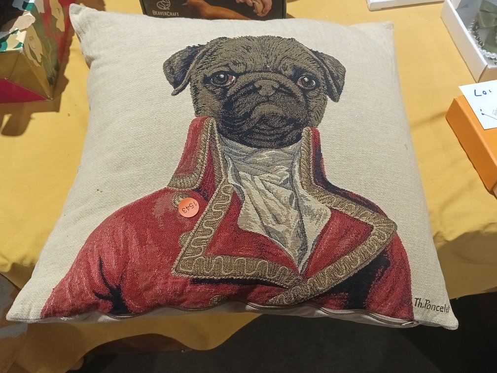 THE PRANCELET PILLOW