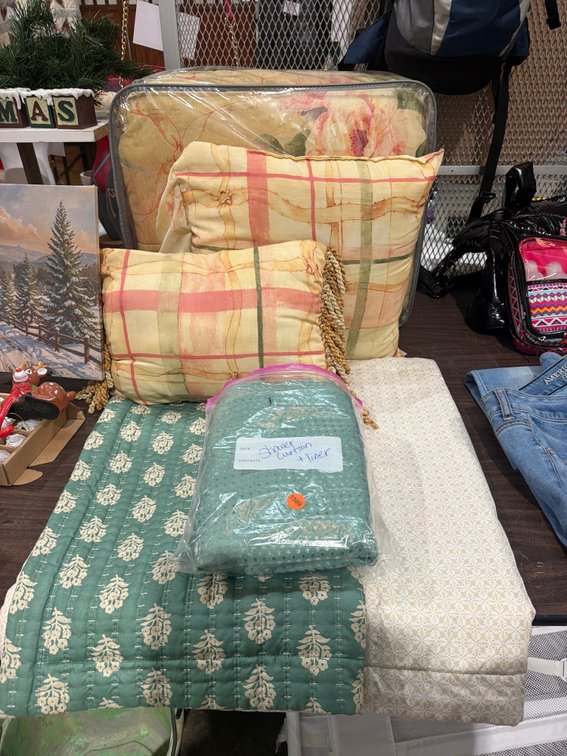 COMFORTER SET AND SHOWER CURTAIN WITH LINER