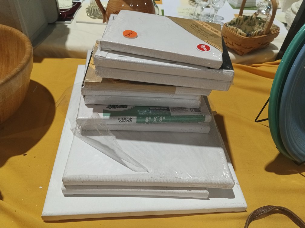 (11) VARIOUS SIZED CANVASES
