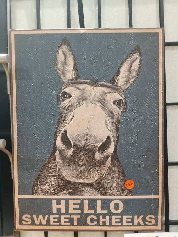 FRAMED DONKEY PRINT CANVAS