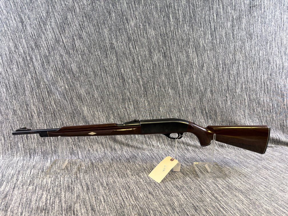 REMINGTON NYLON 66 22 CAL RIFLE SEMI- TRANS #4594