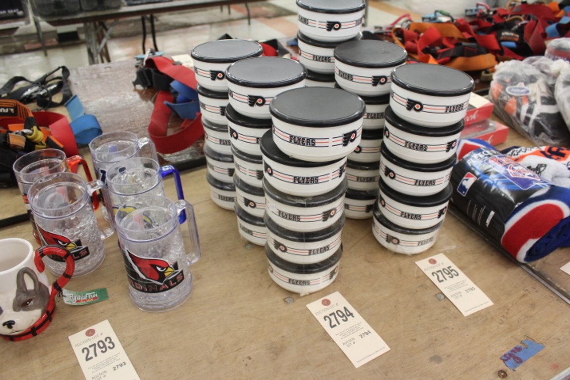 (15) Plastic Flyers Bowls & Lids
