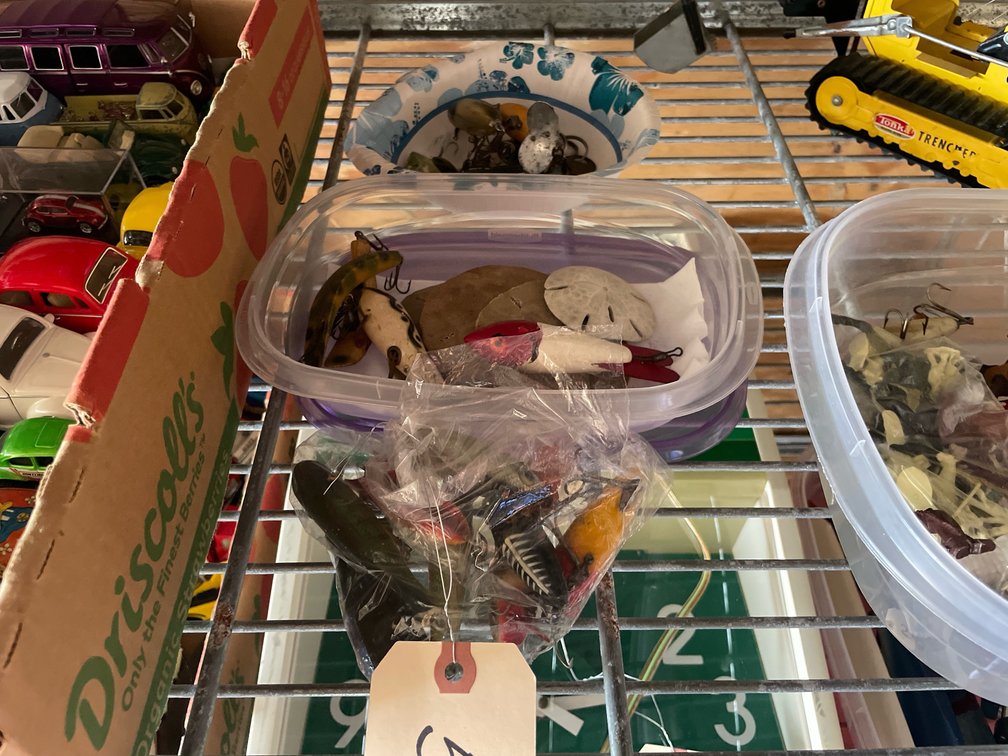Fish Hook Assortment & Sand Dollars