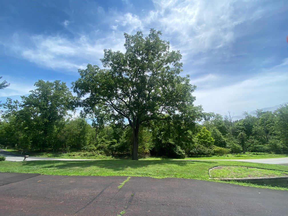 Image for Worcester Township Real Estate LIVE PUBLIC AUCTION