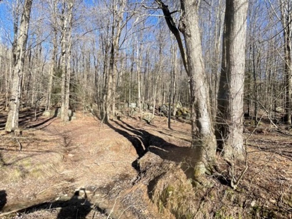 Image for Poconos and Erie PA Building Lots Public Online Auction