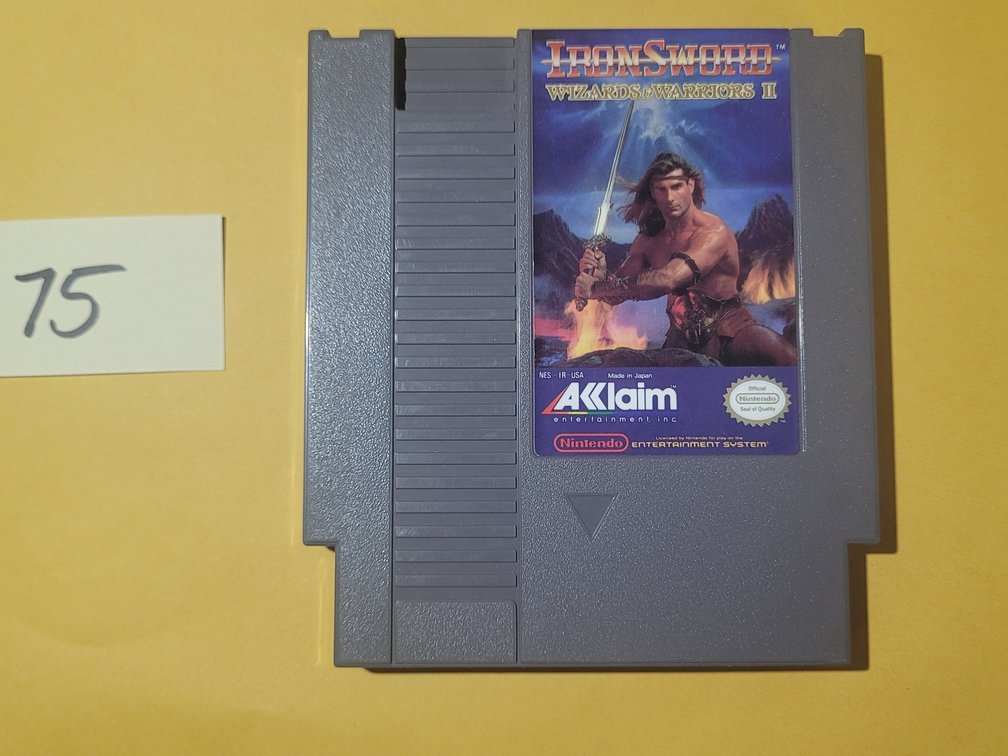 NES - Ironsword: Wizards & Warriors II