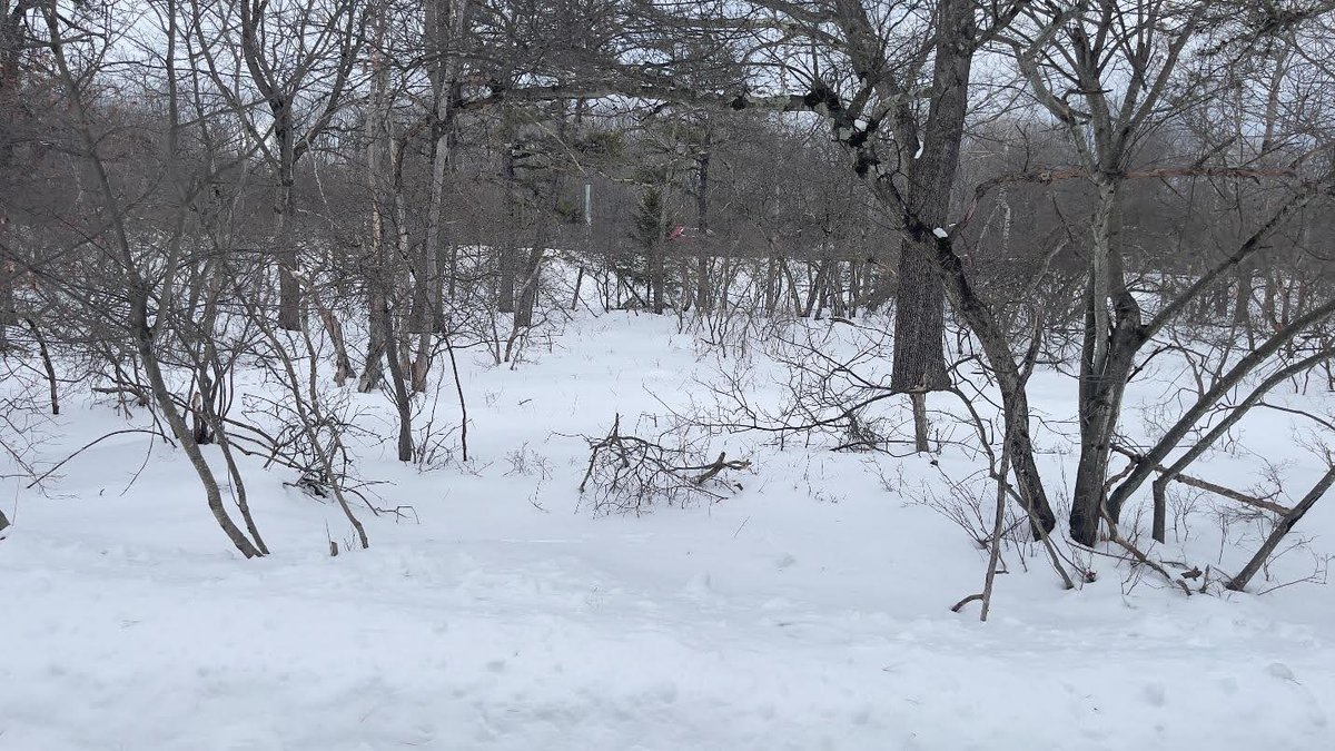 Image for Builder’s Auction – 4 Lots Sold as a Package Poconos, PA  April 19, 2026