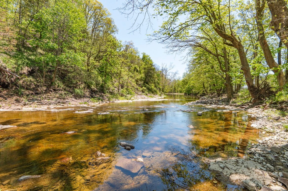 Image for 12 Upper Creek Rd LIVE Real Estate Auction - Stockton, NJ