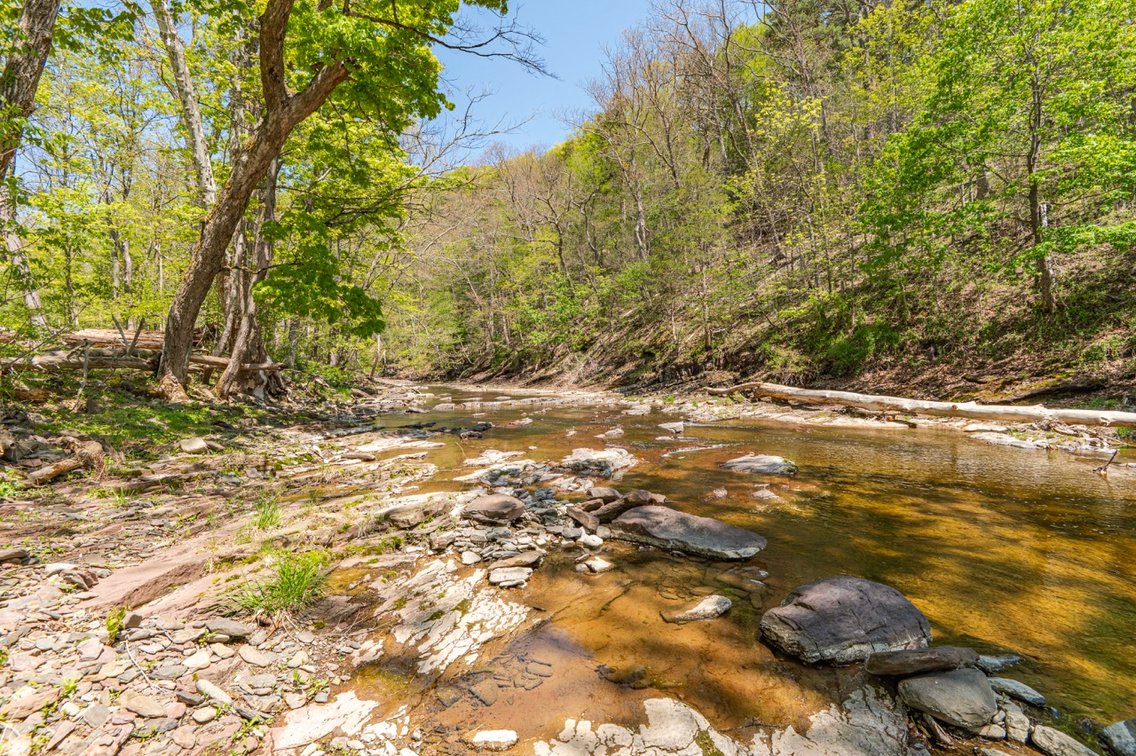 Image for 12 Upper Creek Rd LIVE Real Estate Auction - Stockton, NJ