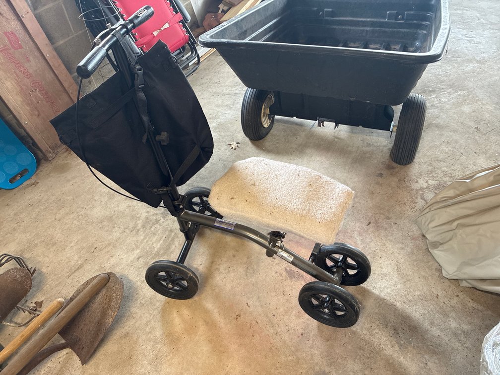 Roscoe Knee Scooter