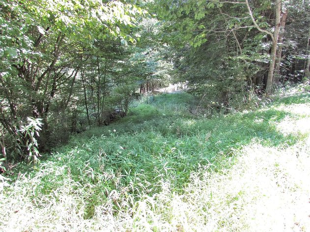 Image for 12 Acre Parcel Sackett Creek Rd - Nichols, NY