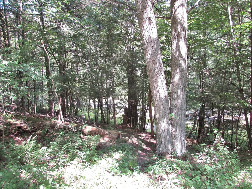 Image for 12 Acre Parcel Sackett Creek Rd - Nichols, NY