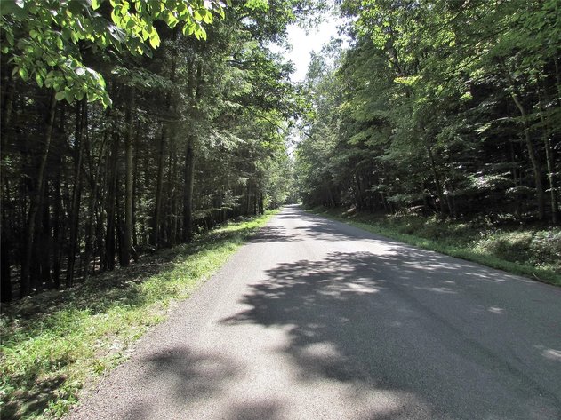 Image for 12 Acre Parcel Sackett Creek Rd - Nichols, NY