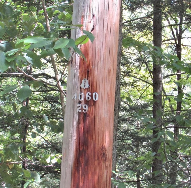 Image for 12 Acre Parcel Sackett Creek Rd - Nichols, NY