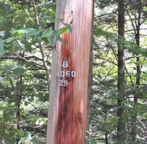 Image for 12 Acre Parcel Sackett Creek Rd - Nichols, NY