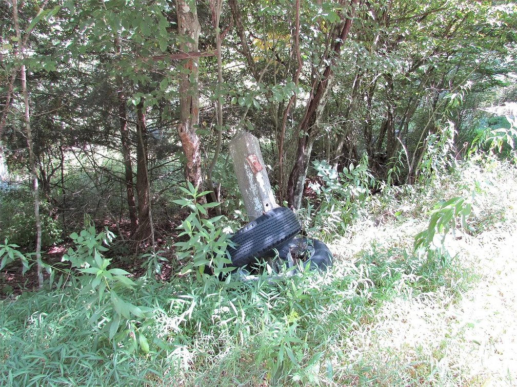 Image for 12 Acre Parcel Sackett Creek Rd - Nichols, NY