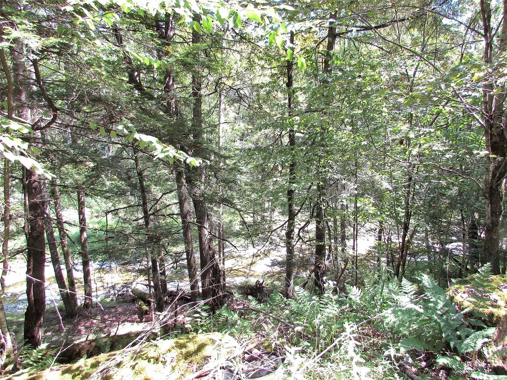 Image for 12 Acre Parcel Sackett Creek Rd - Nichols, NY