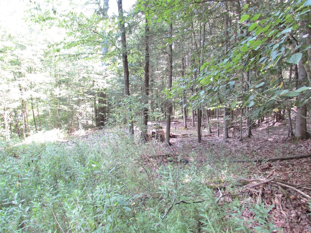 Image for 12 Acre Parcel Sackett Creek Rd - Nichols, NY