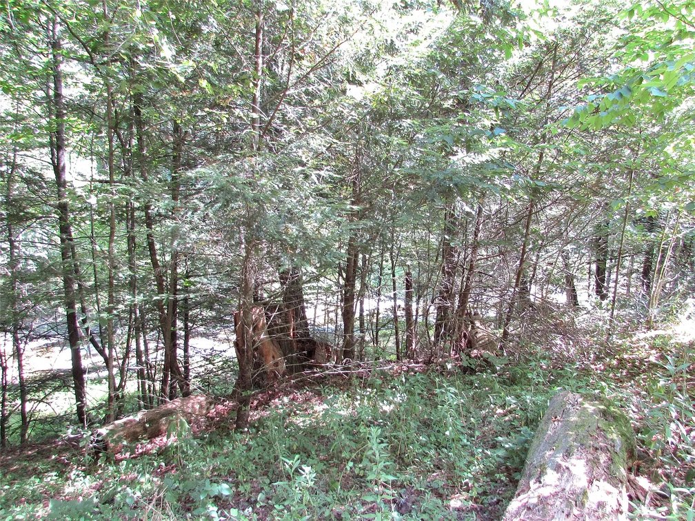 Image for 12 Acre Parcel Sackett Creek Rd - Nichols, NY