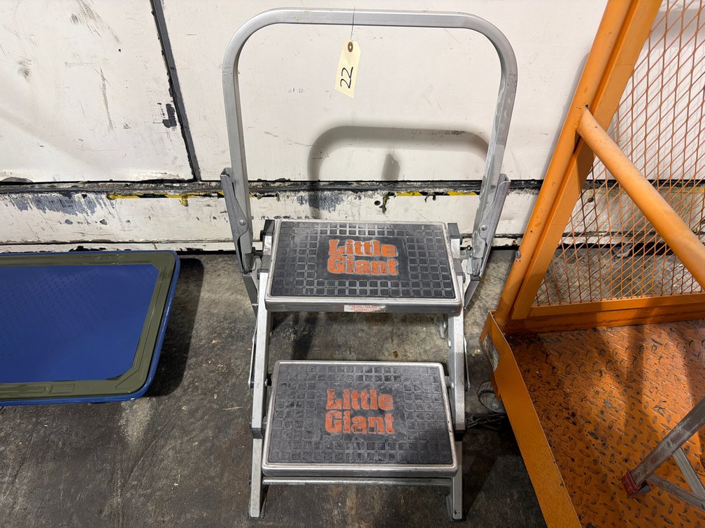 Little Giant 2-Step Ladder