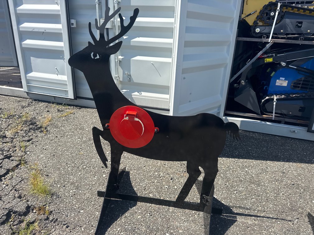 Shooting Target