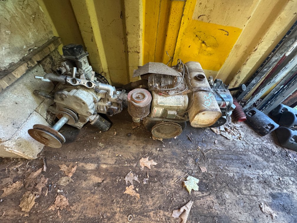 Lawnmower Motors