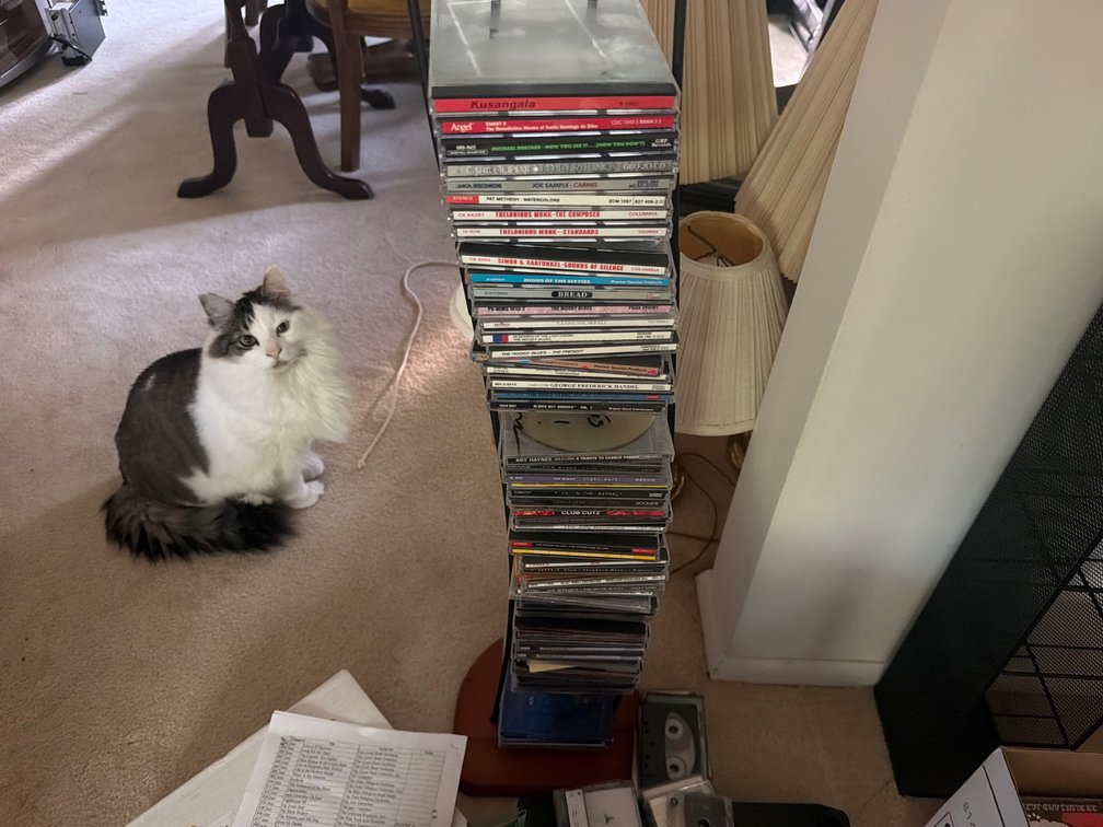 CD’s With CD Rack