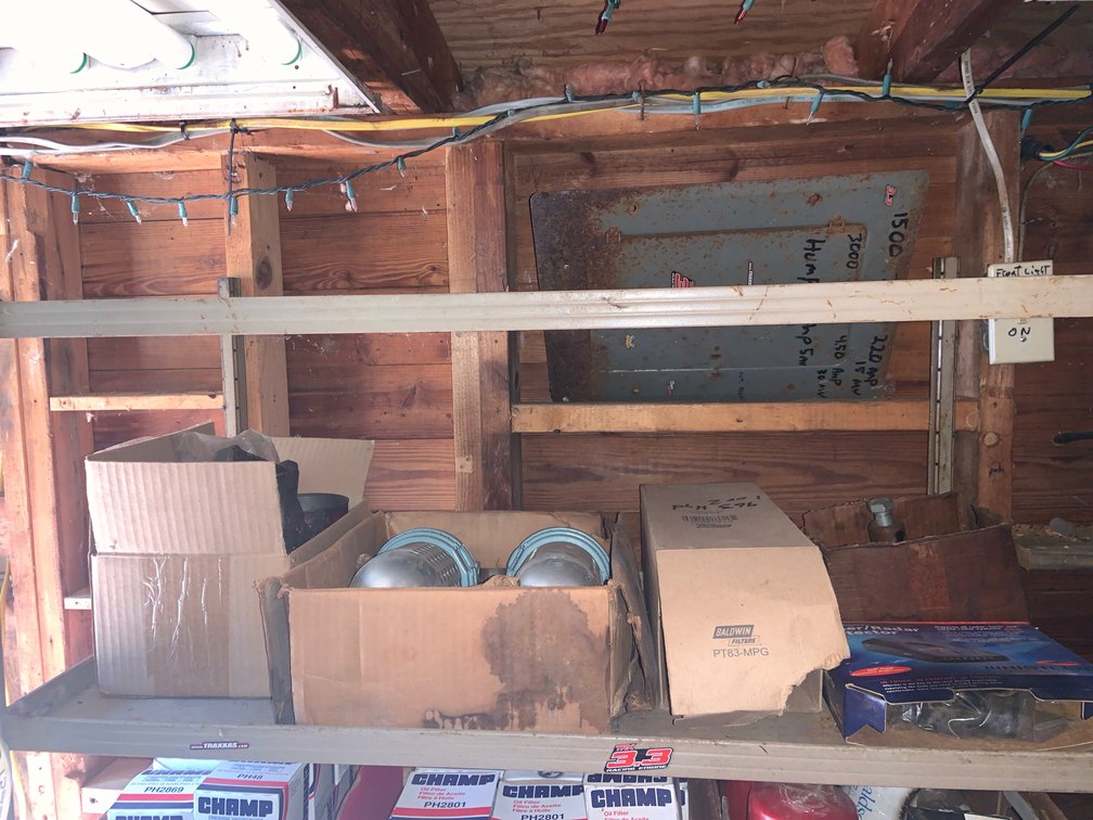 (1) Shelf Oil Filters, Radar Detector