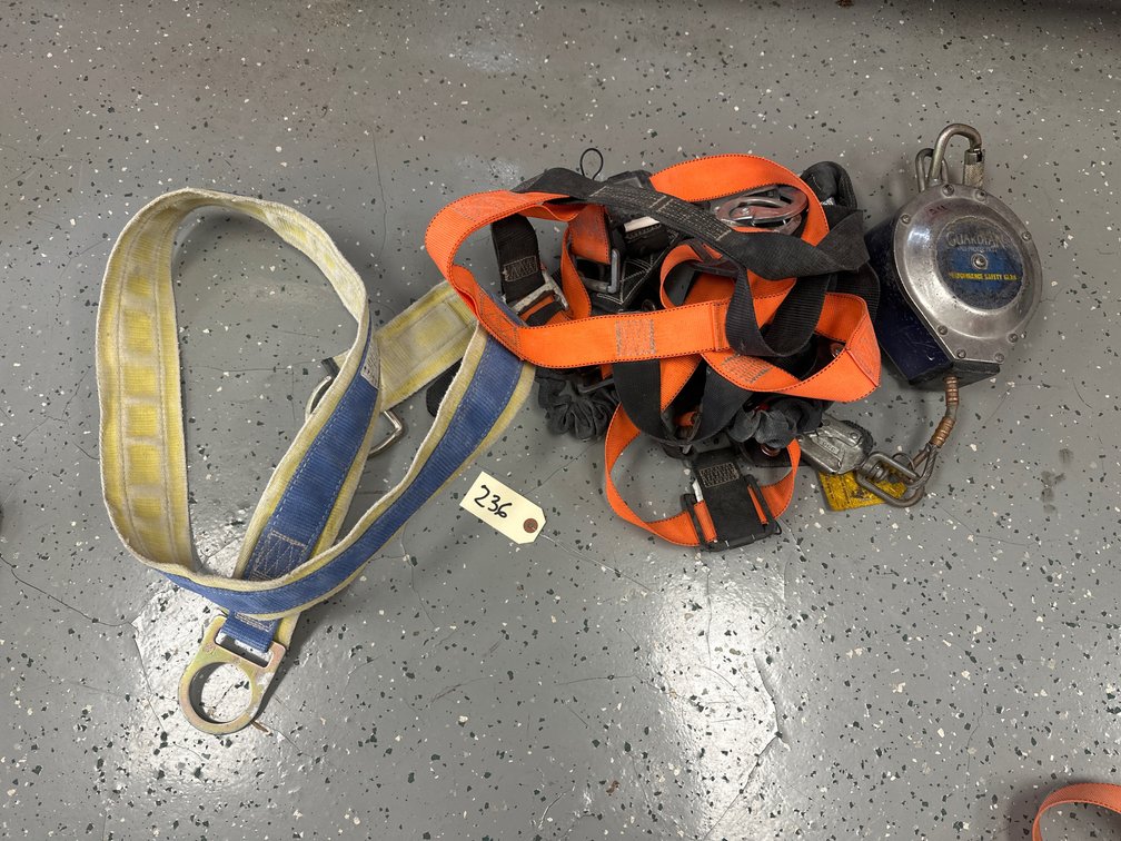 Guardian Fall Protection Harness & D-Ring Sling