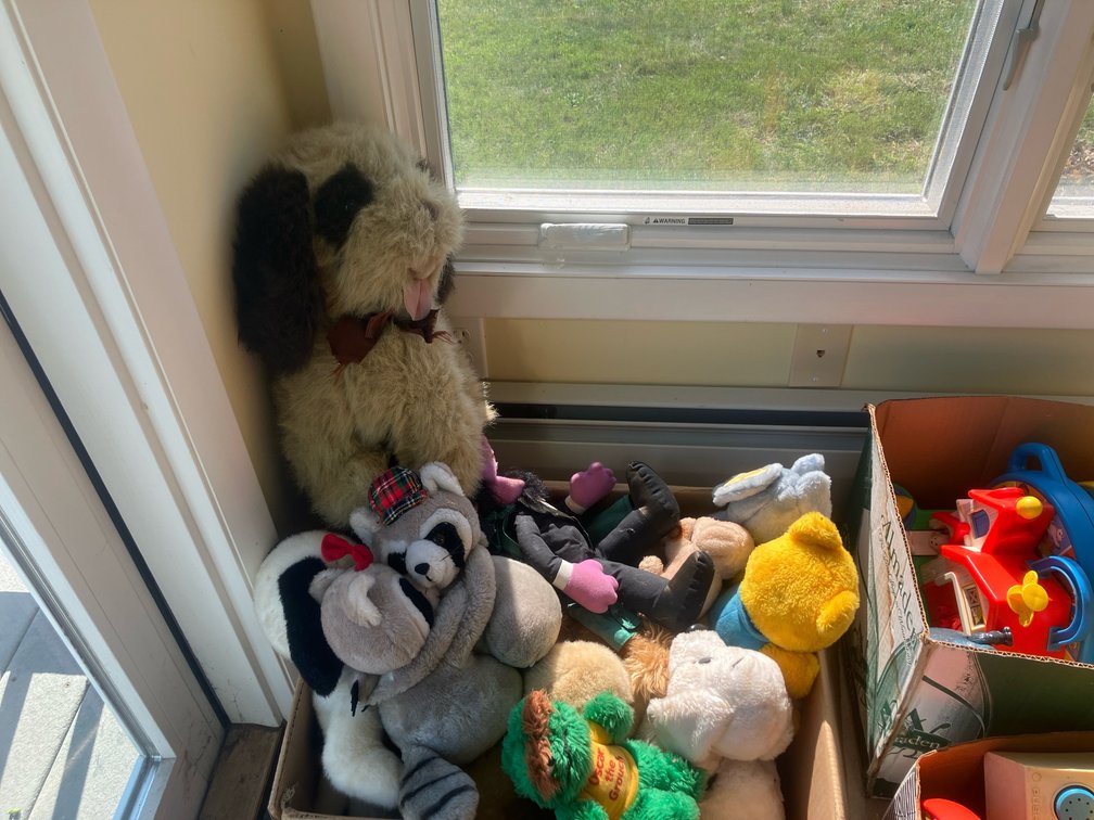 Stuffed Animals & Assorted Toys
