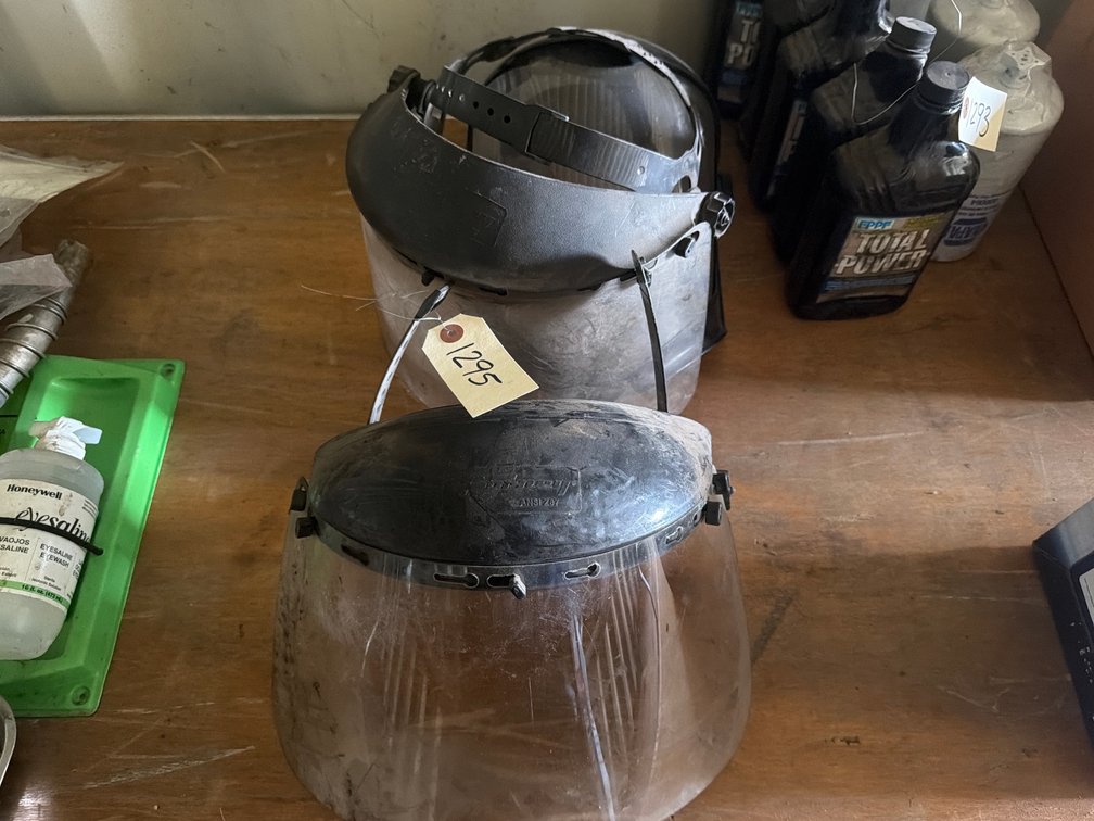 (3) Protective Face Masks