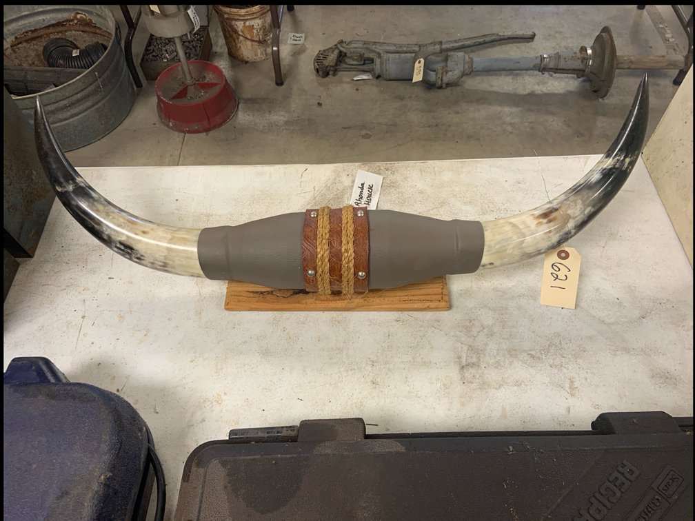 Mounted Bull Horns