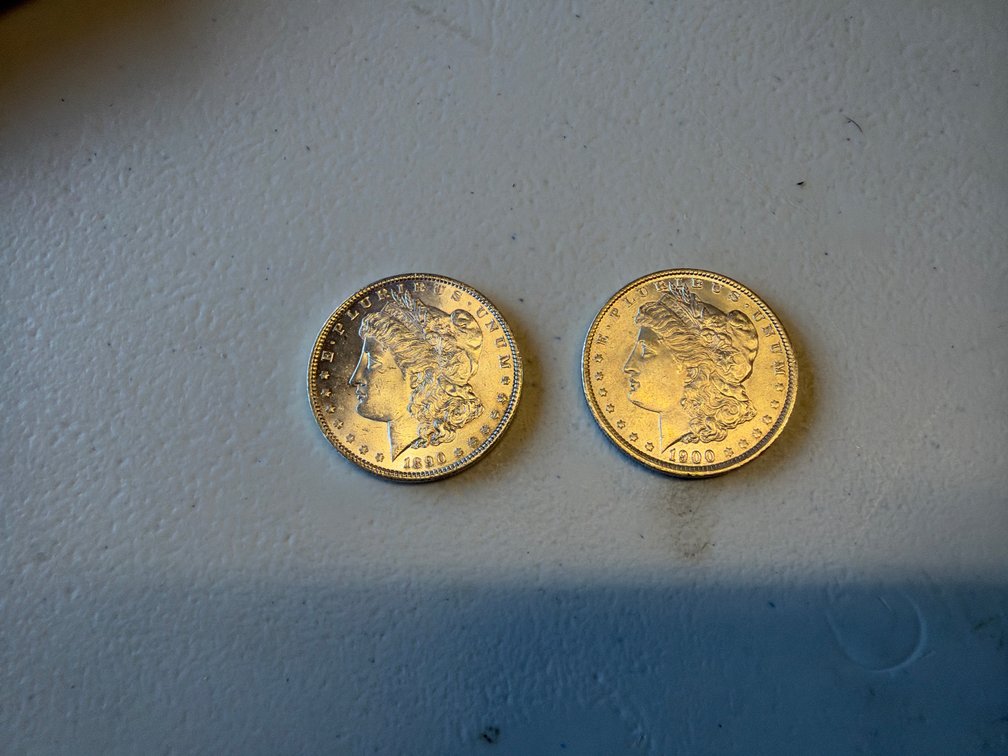 1890-0 & 1900-0 1$ Coins