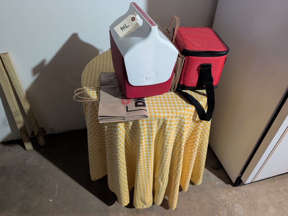 (2) Lunch Coolers