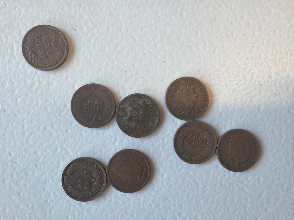 (8) 1¢ Indian Heads