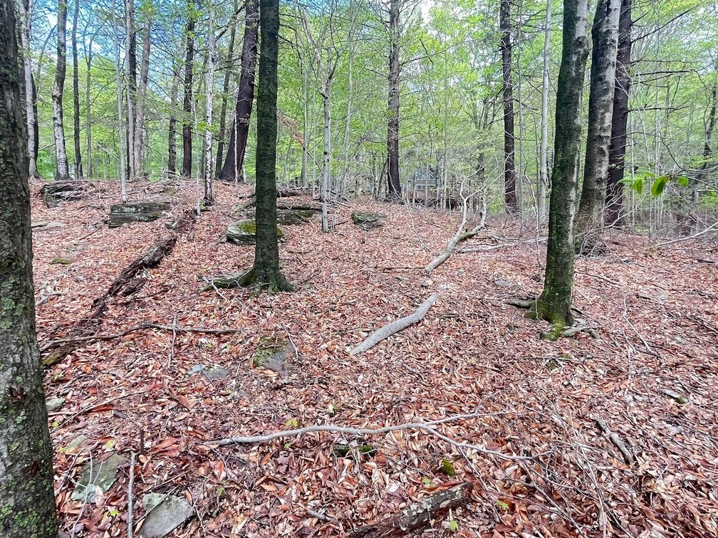 Image for (6)  Building Lots in the Poconos Online Real Estate Auction - PA