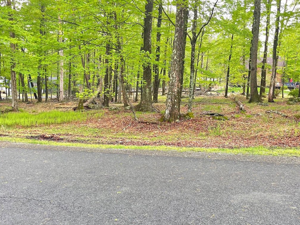 Image for (6)  Building Lots in the Poconos Online Real Estate Auction - PA
