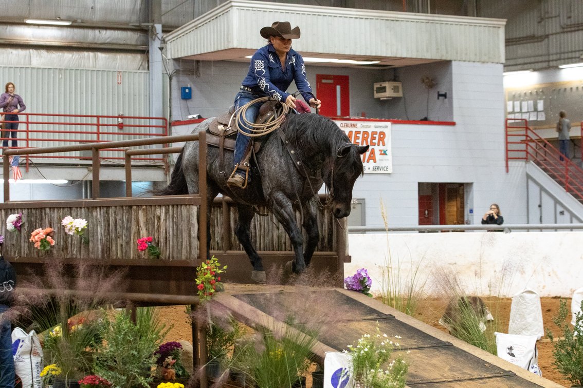 Image for Missouri Horse Auction FRIDAY APRIL 26TH - Springfield, MO