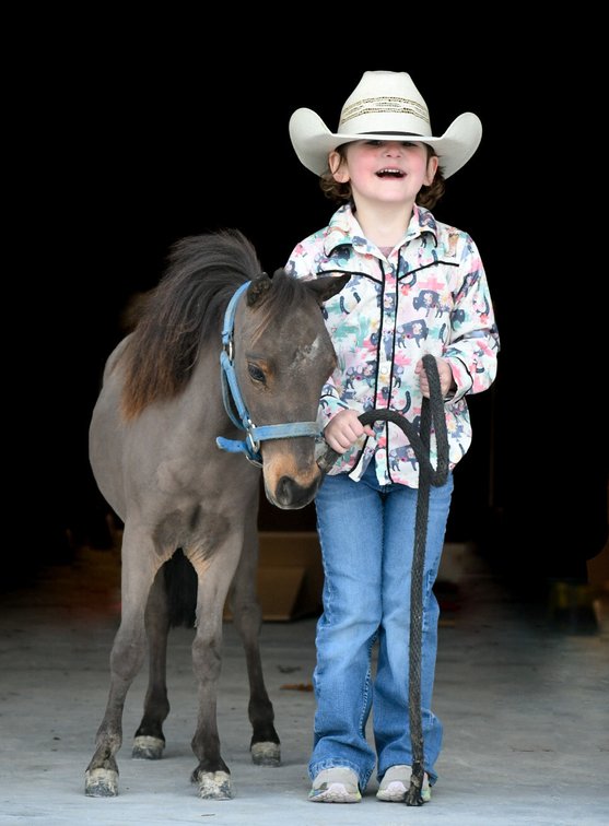 Image for Missouri Horse Auction FRIDAY APRIL 26TH - Springfield, MO