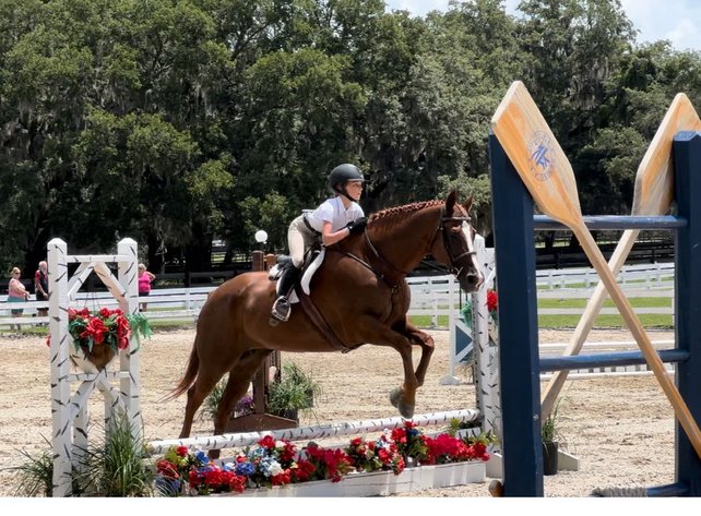 Image for Lumberton Horse and Tack Auction July 2024