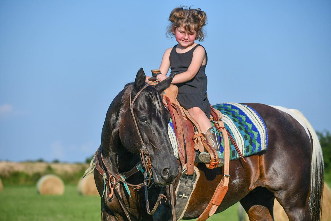 Image for Jones Livestock Auction MONTHLY HORSE & TACK SALE!   Saturday, July 13th!