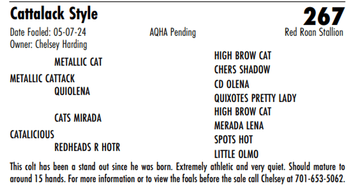 Image for Hermanson-Kist Fall All Breed Horse Sale - Mandan, North Dakota - September 19, 20, 21 - DAY ONE
