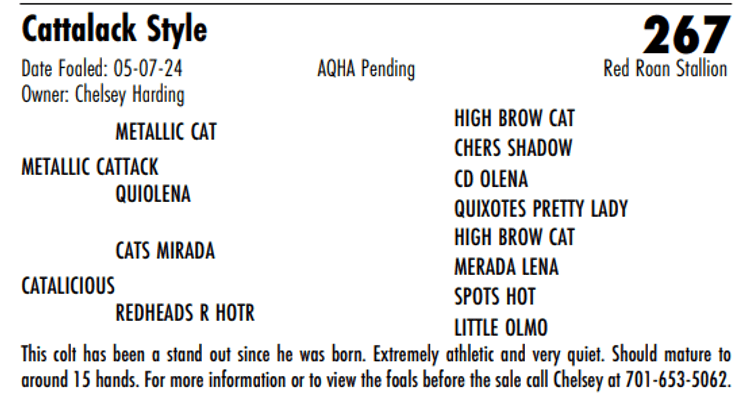 Image for Hermanson-Kist Fall All Breed Horse Sale - Mandan, North Dakota - September 19, 20, 21 - DAY ONE